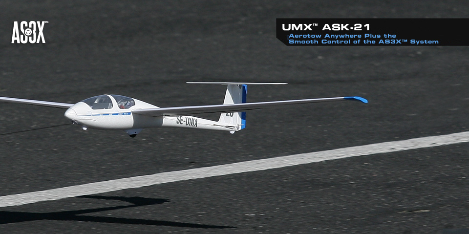   E-Flite UMX ASK-21 ( /  )