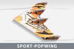  Techone Sport Popwing EPP COMBO