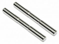 Titanium Outer Hinge Pin (2.5 x 24.5mm) (Pair) (Cyclone / Pro 4)